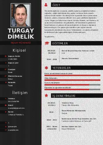 İnşaat Mühendisi Cv Örnekleri cv indir